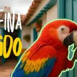 Entrenamiento de escucha