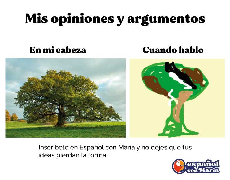 dar la opinión en español