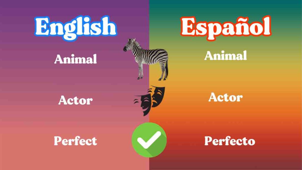 Learn Spanish from English