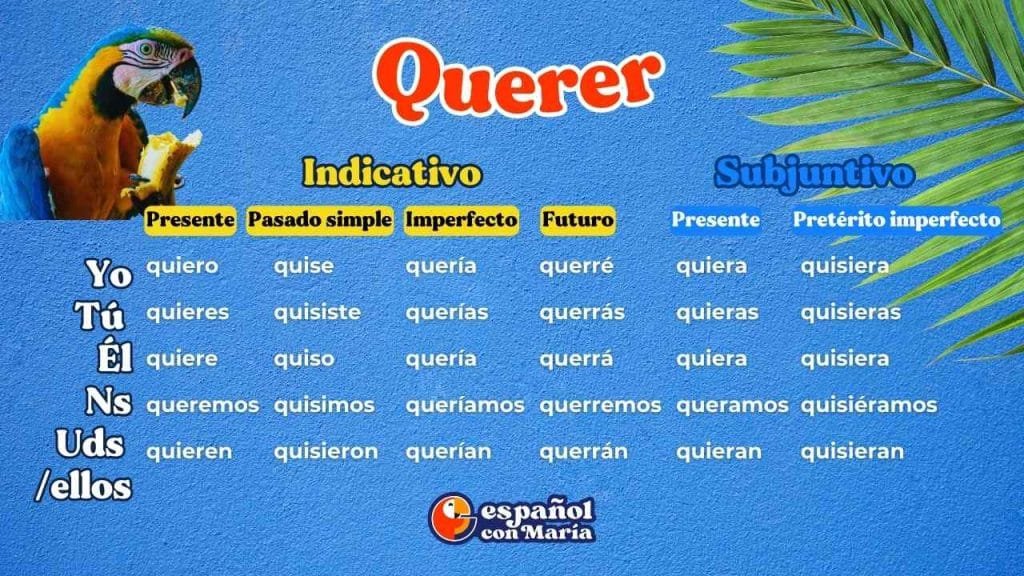 Conjugación del verbo querer