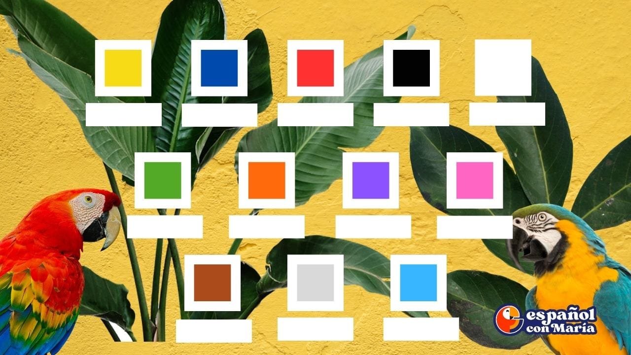 Los colores en español