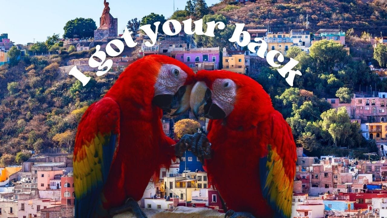 travel tips Latin America