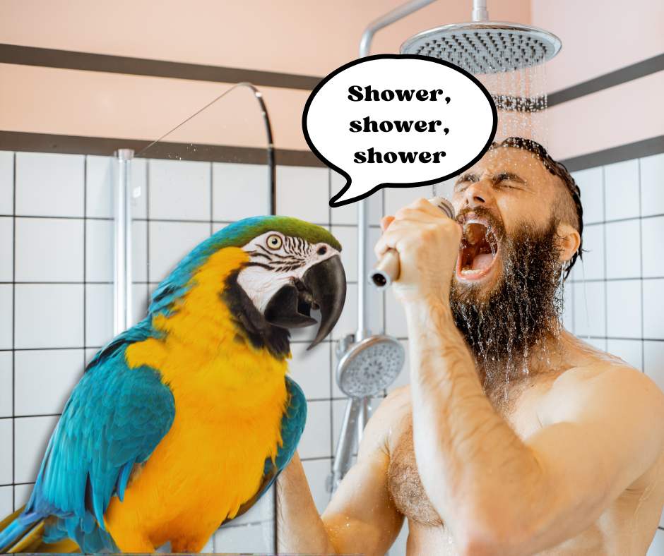 Importance of hygiene in Latin America