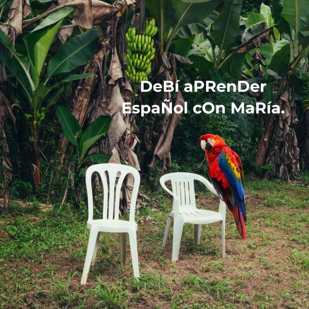 Debí tirar má fotos, practicar español