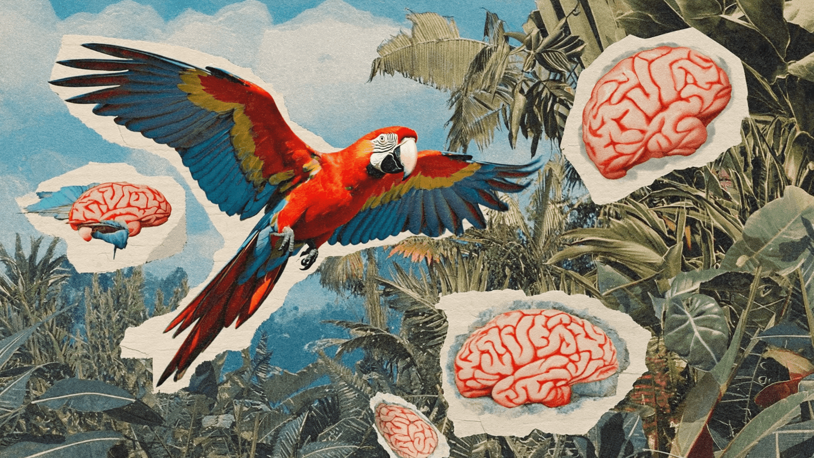 Portada surrealista