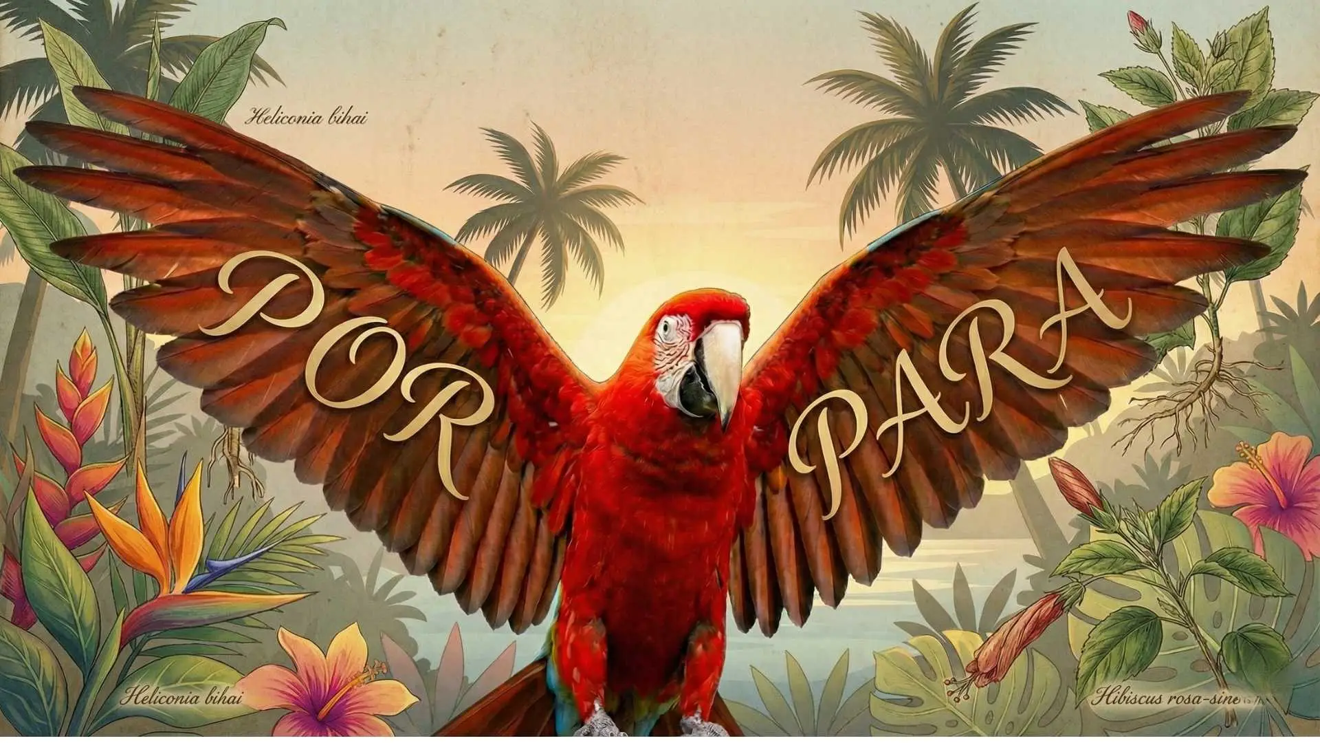 por y para en español