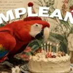 canciones de cumpleaños